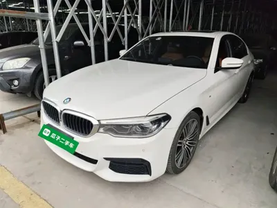 BMW 5 Series (Import)