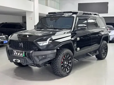 Mengshi Mengshi 917