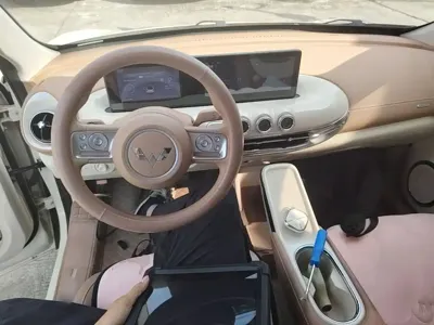 Wuling Bingo