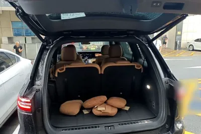 Li Auto ONE