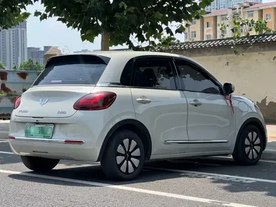 Wuling Bingo