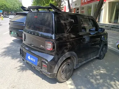 Galaxy Panda