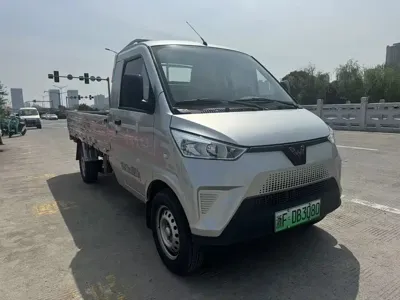 Wuling 五菱电卡