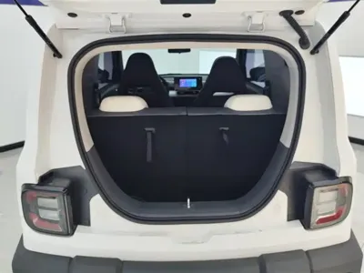 Galaxy Panda