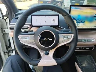 BYD Seagull
