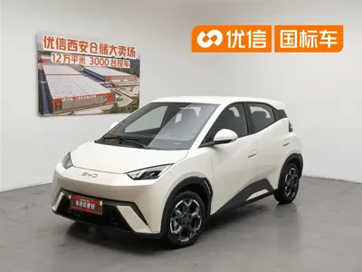 BYD Seagull
