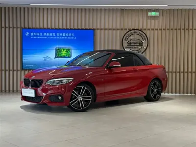 BMW 2 Series (Import)