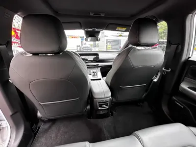 GAC Motor Shadow Leopard