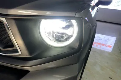 Haval H Dog