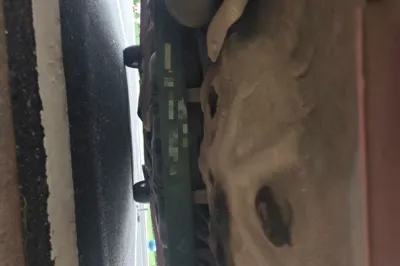 Baojun 310