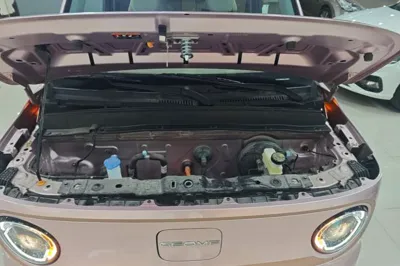 Geely Galaxy Panda