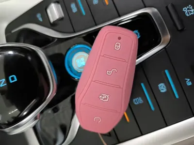 BYD Pro New Energy