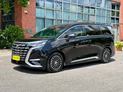Denza Denza D9