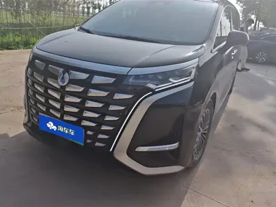 Denza Denza D9