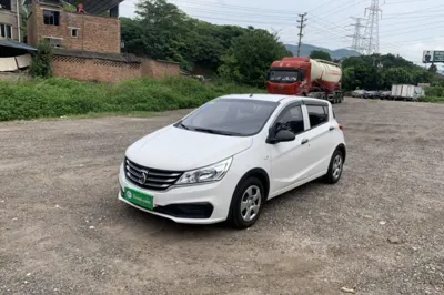 Baojun 310