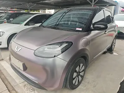 Wuling Bingo