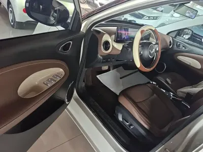 Wuling Bingo