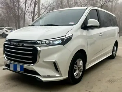 大通 G20