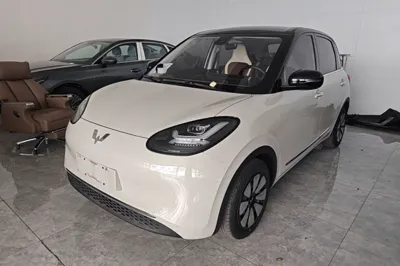 Wuling Bingo