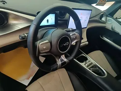 BYD Dolphin
