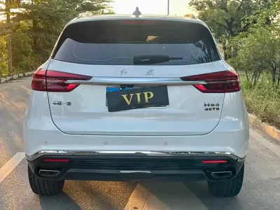 Hongqi Hongqi HS5
