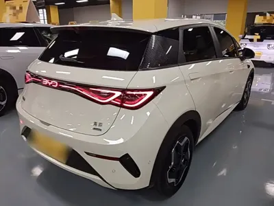 BYD Dolphin
