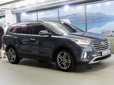 Hyundai Maxcruz