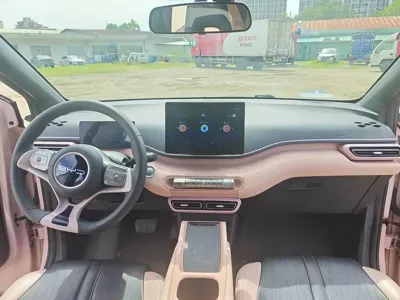 BYD Seagull