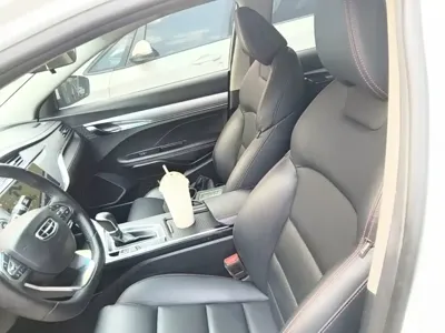 Geely Binrui