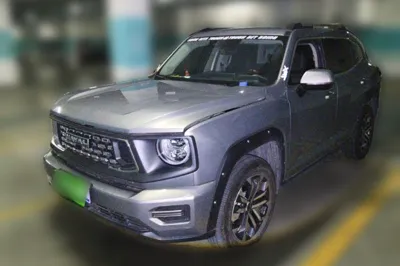 Haval H Dog