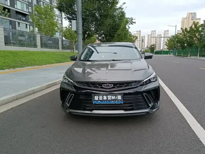 Geely Binrui
