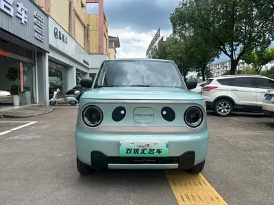 Galaxy Panda