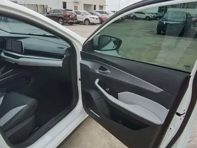 Geely Binrui