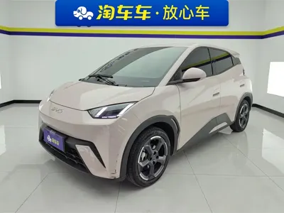 BYD Seagull