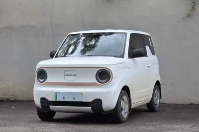 Geely Galaxy Panda