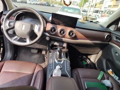 WEY VV6
