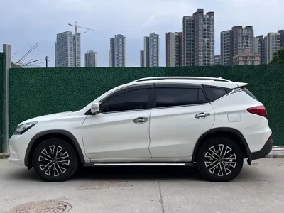 BYD New Energy