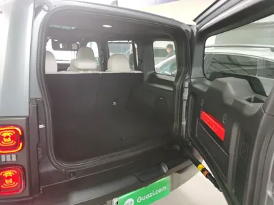 Haval Raptor New Energy