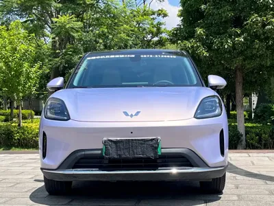 Wuling 缤果S