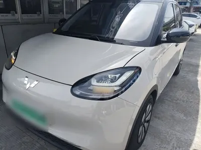 Wuling Bingo