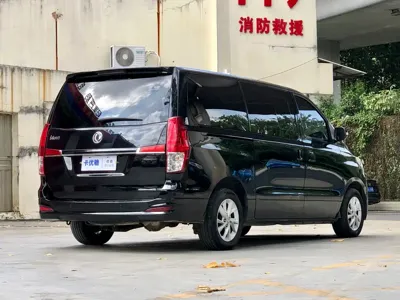 Fengxing Lingzhi PLUS