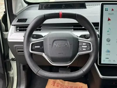 NETA Neta V