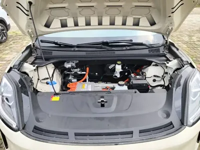 Wuling 缤果S