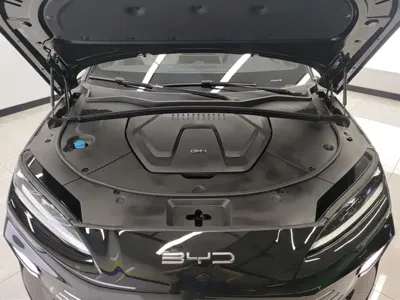 BYD PLUS New Energy