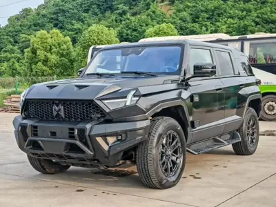 Mengshi Mengshi 917