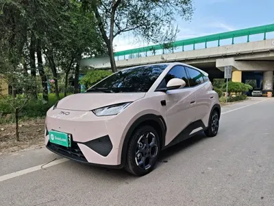 BYD Seagull