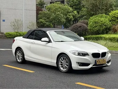 BMW 2 Series (Import)