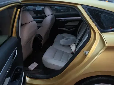 Geely Binrui
