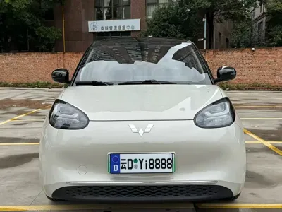 Wuling Bingo