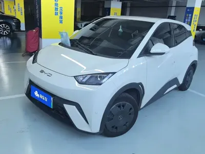 BYD Seagull